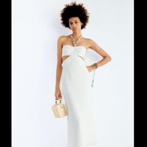 Zara dress